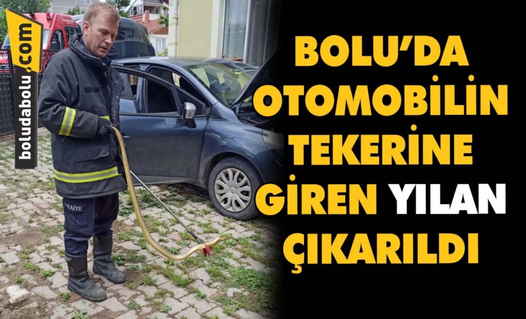 Bolu’da otomobilin tekerine giren yılan çıkarıldı Bolu’da otomobilin tekerine giren yılan çıkarıldı