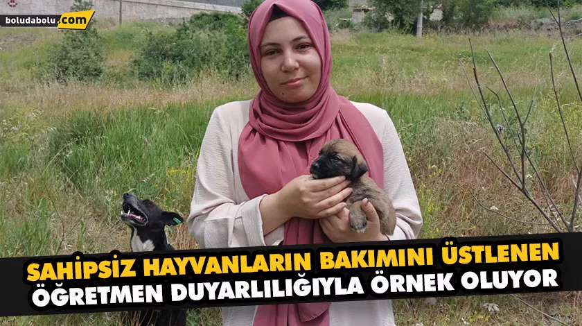SAHİPSİZ HAYVANLARIN BAKIMINI ÜSTLENİYOR