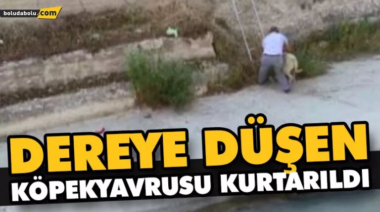 DEREYE DÜŞEN KÖPEK YAVRUSU KURTARILDI