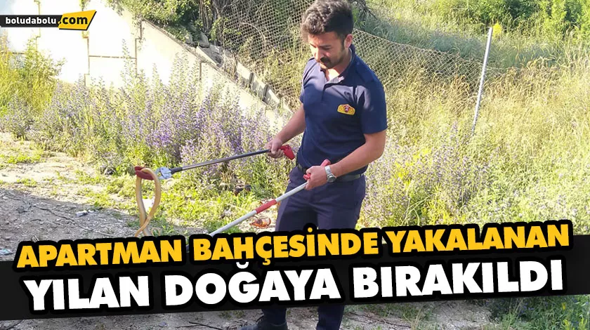 APARTMAN BAHÇESİNDE YAKALANAN YILAN DOĞAYA BIRAKILDI APARTMAN BAHÇESİNDE YAKALANAN YILAN DOĞAYA BIRAKILDI
