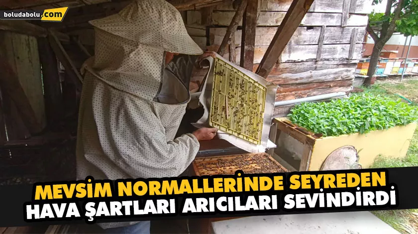 MEVSİM NORMALLERİNDE SEYREDEN HAVA ŞARTLARI ARICILARI SEVİNDİRDİ MEVSİM NORMALLERİNDE SEYREDEN HAVA ŞARTLARI ARICILARI SEVİNDİRDİ