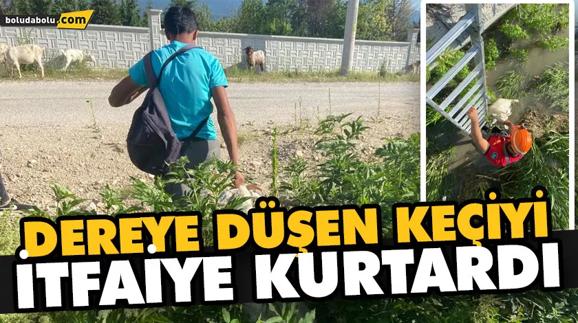 DEREYE DÜŞEN KEÇİYİ İTFAİYE KURTARDI DEREYE DÜŞEN KEÇİYİ İTFAİYE KURTARDI