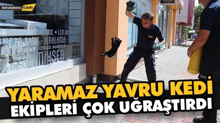YARAMAZ YAVRU KEDİ EKİPLERİ ÇOK UĞRAŞTIRDI