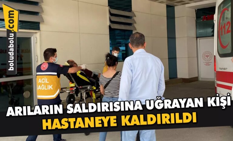 Düzce’de arıların saldırısına uğrayan kişi hastaneye kaldırıldı