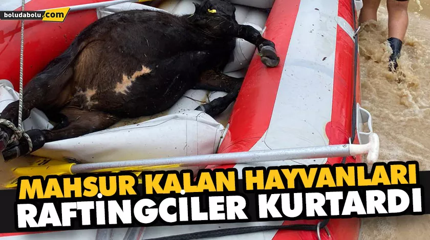 MAHSUR KALAN HAYVANLARI RAFTİNGCİLER KURTARDI
