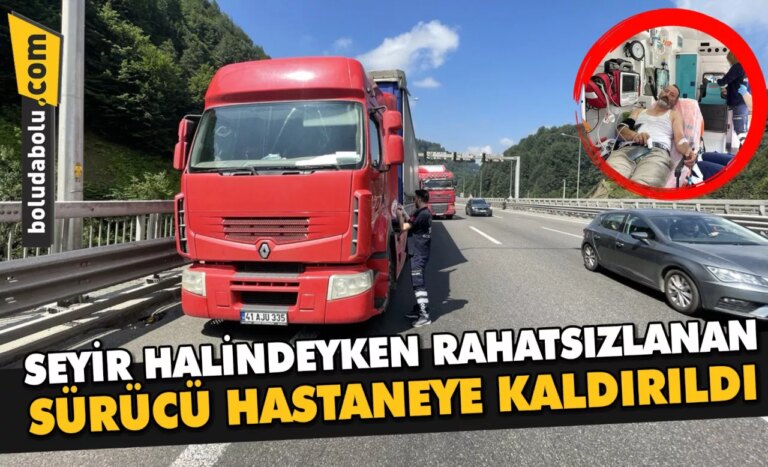 Bolu’da seyir halindeyken arı sokması sonucu rahatsızlanan sürücü hastaneye kaldırıldı