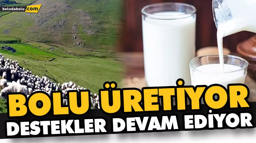 BOLU ÜRETİYOR DESTEKLER DEVAM EDİYOR BOLU ÜRETİYOR DESTEKLER DEVAM EDİYOR