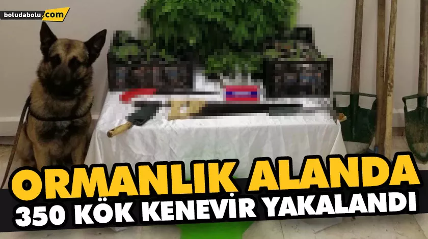 JANDARMADAN UYUŞTURUCU OPERASYONU: 2 GÖZALTI JANDARMADAN UYUŞTURUCU OPERASYONU: 2 GÖZALTI