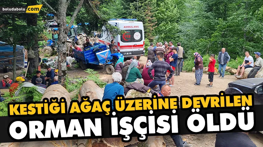KESTİĞİ AĞAÇ ÜZERİNE DEVRİLEN ORMAN İŞÇİSİ ÖLDÜ KESTİĞİ AĞAÇ ÜZERİNE DEVRİLEN ORMAN İŞÇİSİ ÖLDÜ