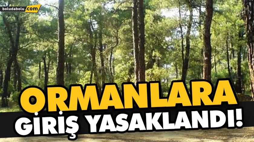 ORMANLARA GİRİŞ YASAKLANDI! ORMANLARA GİRİŞ YASAKLANDI!