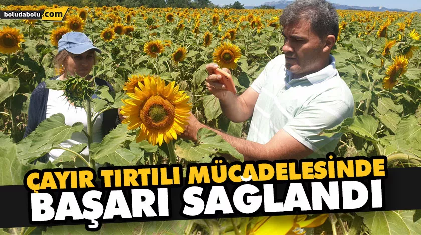 ÇAYIR TIRTILI MÜCADELESİNDE BAŞARI SAĞLANDI ÇAYIR TIRTILI MÜCADELESİNDE BAŞARI SAĞLANDI
