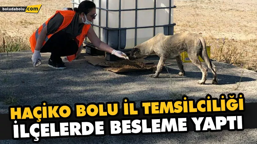 HAÇİKO BOLU İL TEMSİLCİLİĞİ İLÇELERDE BESLEME YAPTI HAÇİKO BOLU İL TEMSİLCİLİĞİ İLÇELERDE BESLEME YAPTI