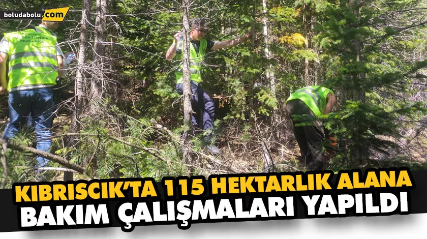 KIBRISCIK’TA 115 HEKTARLIK ALANA BAKIM ÇALIŞMALARI YAPILDI KIBRISCIK’TA 115 HEKTARLIK ALANA BAKIM ÇALIŞMALARI YAPILDI