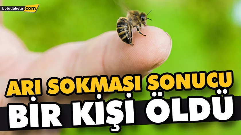 ARI SOKMASI SONUCU BİR KİŞİ ÖLDÜ ARI SOKMASI SONUCU BİR KİŞİ ÖLDÜ