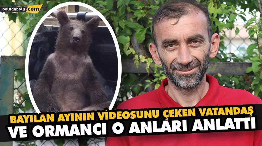 BAYILAN AYININ VİDEOSUNU ÇEKEN VATANDAŞ VE ORMANCI O ANLARI ANLATTI BAYILAN AYININ VİDEOSUNU ÇEKEN VATANDAŞ VE ORMANCI O ANLARI ANLATTI