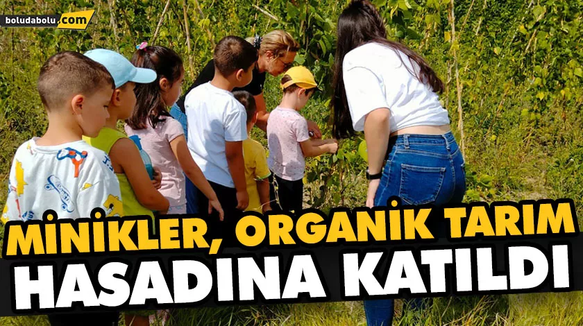 MİNİKLER, ORGANİK TARIM HASADINA KATILDI MİNİKLER, ORGANİK TARIM HASADINA KATILDI