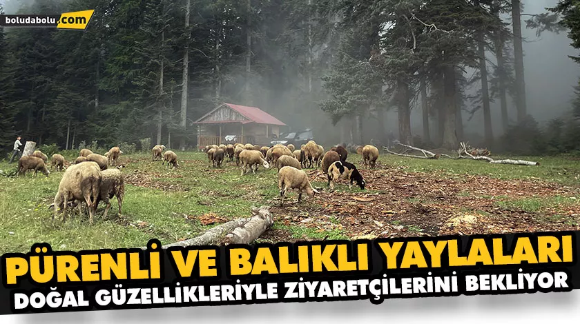 PÜRENLİ VE BALIKLI YAYLALARI DOĞAL GÜZELLİKLERİYLE ZİYARETÇİLERİNİ BEKLİYOR