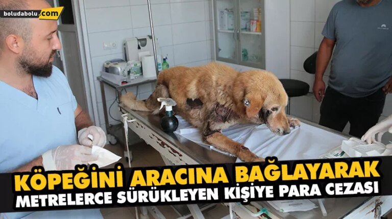 KÖPEĞİNİ ARACINA BAĞLAYARAK METRELERCE SÜRÜKLEYEN KİŞİYE PARA CEZASI
