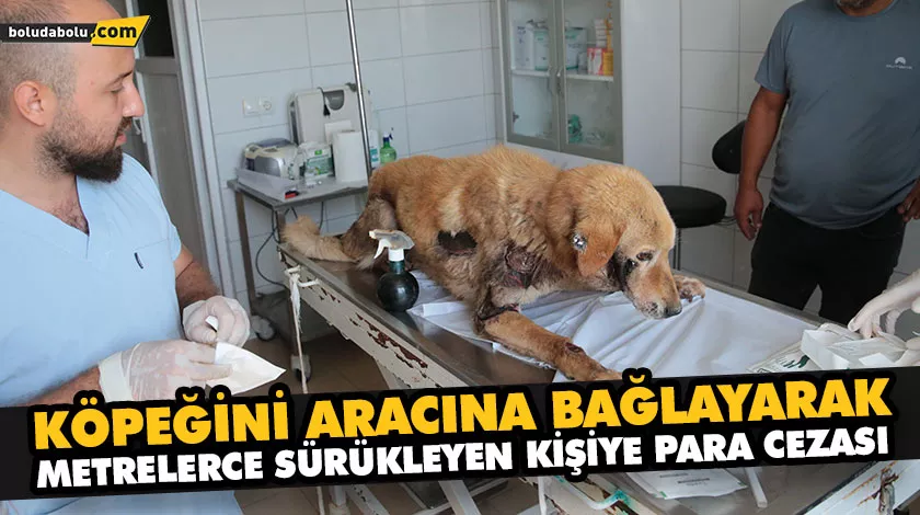 KÖPEĞİNİ ARACINA BAĞLAYARAK METRELERCE SÜRÜKLEYEN KİŞİYE PARA CEZASI KÖPEĞİNİ ARACINA BAĞLAYARAK METRELERCE SÜRÜKLEYEN KİŞİYE PARA CEZASI