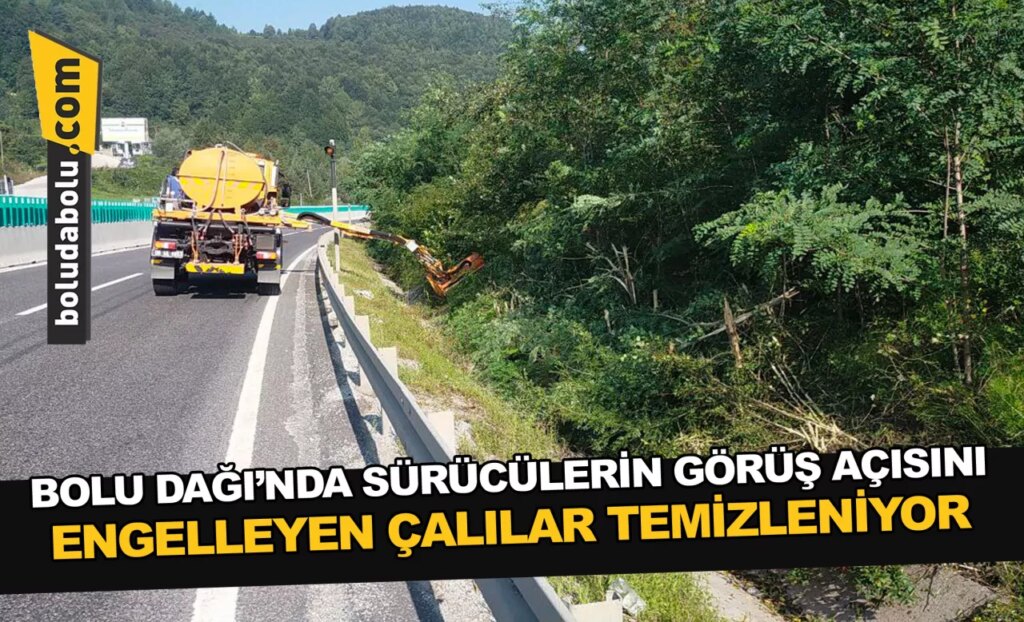 Bolu Dağı’nda sürücülerin görüş açısını engelleyen çalılar temizleniyor Bolu Dağı’nda sürücülerin görüş açısını engelleyen çalılar temizleniyor