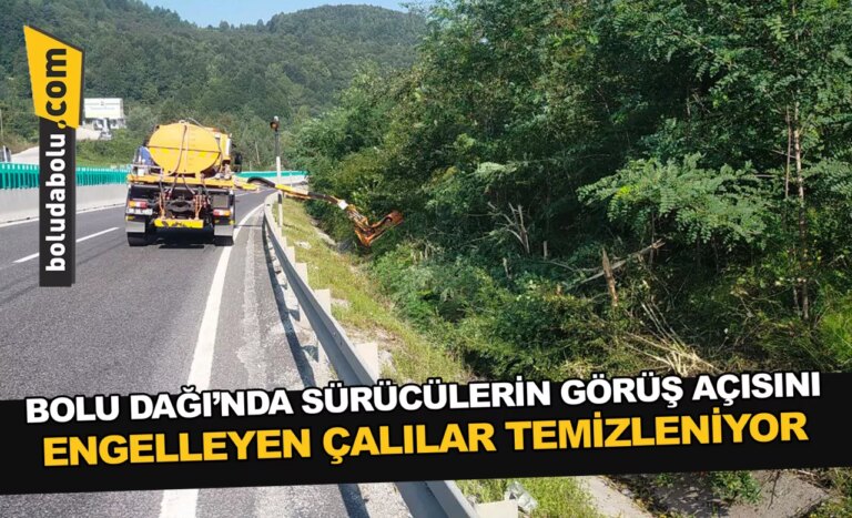 Bolu Dağı’nda sürücülerin görüş açısını engelleyen çalılar temizleniyor