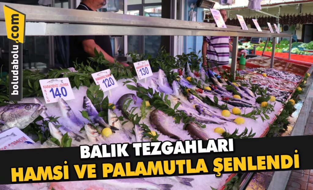 AV YASAĞI BİTTİ BALIK TEZGAHLARI HAMSİ VE PALAMUTLA ŞENLENDİ AV YASAĞI BİTTİ BALIK TEZGAHLARI HAMSİ VE PALAMUTLA ŞENLENDİ