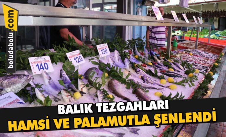 AV YASAĞI BİTTİ BALIK TEZGAHLARI HAMSİ VE PALAMUTLA ŞENLENDİ