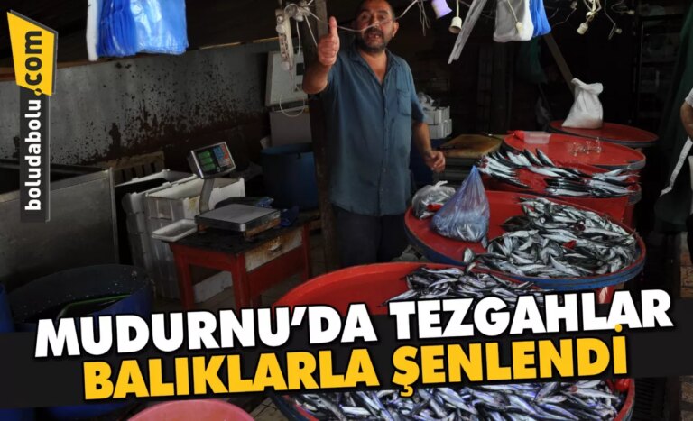 Mudurnu’da tezgahlar balıklarla şenlendi
