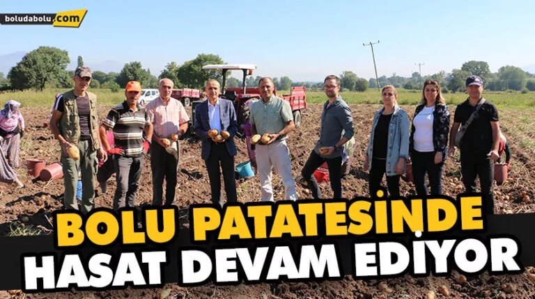 BOLU PATATESİNDE HASAT DEVAM EDİYOR