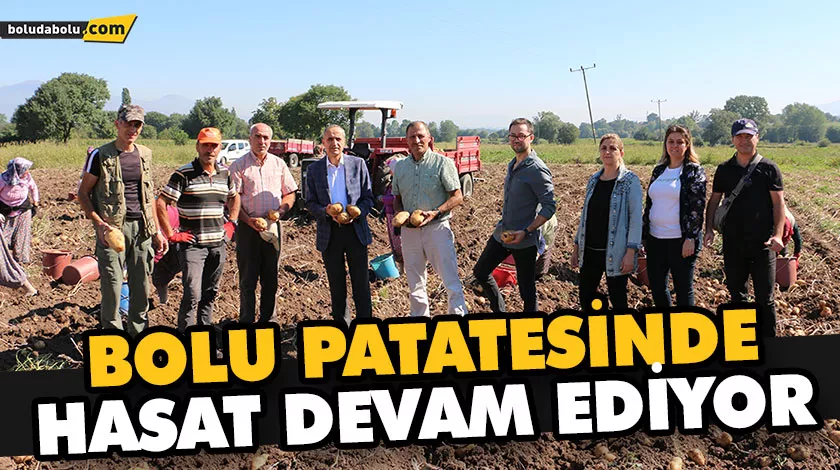 BOLU PATATESİNDE HASAT DEVAM EDİYOR BOLU PATATESİNDE HASAT DEVAM EDİYOR