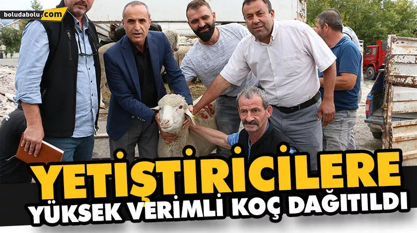BOLU’DA YETİŞTİRİCİLERE YÜKSEK VERİMLİ KOÇ DAĞITILDI BOLU’DA YETİŞTİRİCİLERE YÜKSEK VERİMLİ KOÇ DAĞITILDI