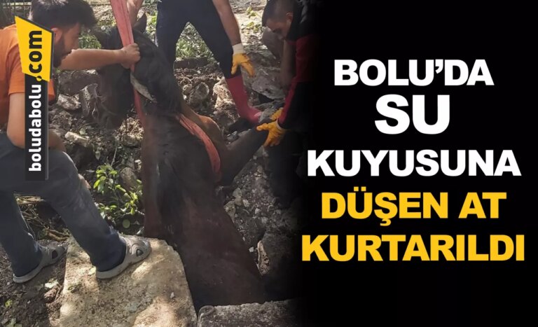 Bolu’da su kuyusuna düşen at kurtarıldı
