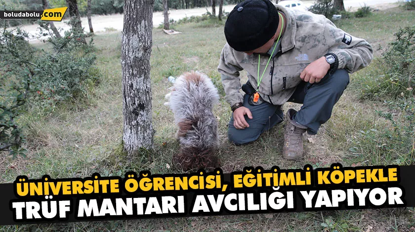 ÜNİVERSİTE ÖĞRENCİSİ, EĞİTİMLİ KÖPEKLE TRÜF MANTARI AVCILIĞI YAPIYOR ÜNİVERSİTE ÖĞRENCİSİ, EĞİTİMLİ KÖPEKLE TRÜF MANTARI AVCILIĞI YAPIYOR