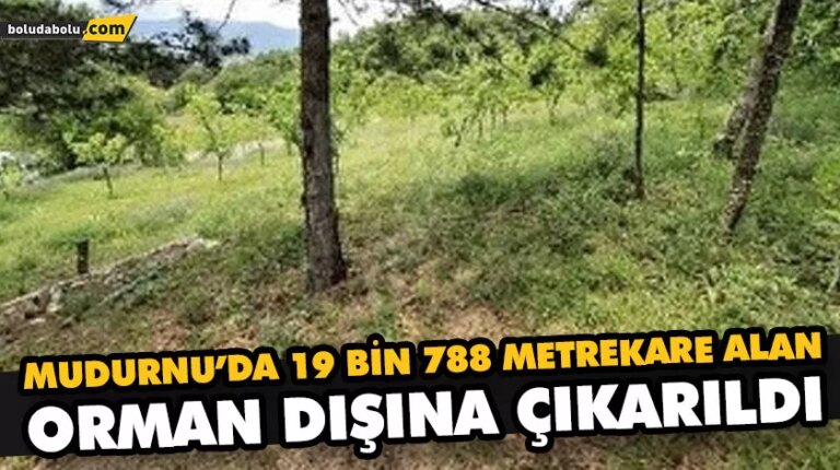 MUDURNU’DA 19 BİN 788 METREKARE ALAN ORMAN DIŞINA ÇIKARILDI