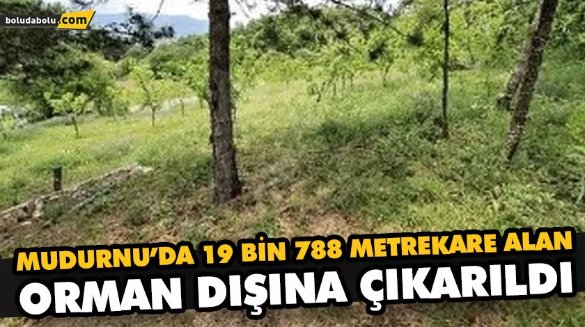 MUDURNU’DA 19 BİN 788 METREKARE ALAN ORMAN DIŞINA ÇIKARILDI MUDURNU’DA 19 BİN 788 METREKARE ALAN ORMAN DIŞINA ÇIKARILDI