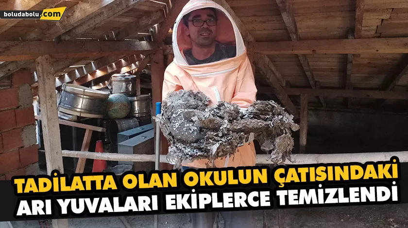 TADİLATTA OLAN OKULUN ÇATISINDAKİ ARI YUVALARI EKİPLERCE TEMİZLENDİ TADİLATTA OLAN OKULUN ÇATISINDAKİ ARI YUVALARI EKİPLERCE TEMİZLENDİ
