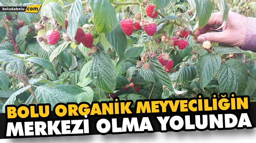 “ÜRETEN BOLU’DAN ORGANİK ÜRETEN BOLU’YA” “ÜRETEN BOLU’DAN ORGANİK ÜRETEN BOLU’YA”