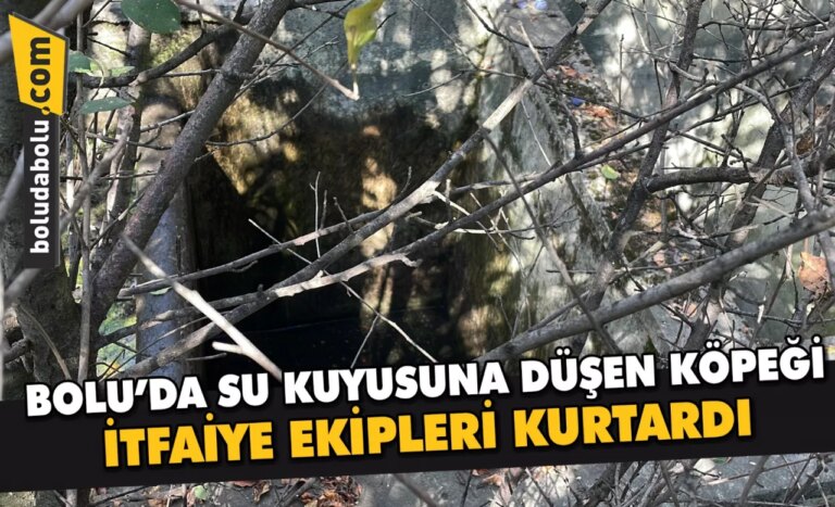 Bolu’da su kuyusuna düşen köpeği itfaiye ekipleri kurtardı