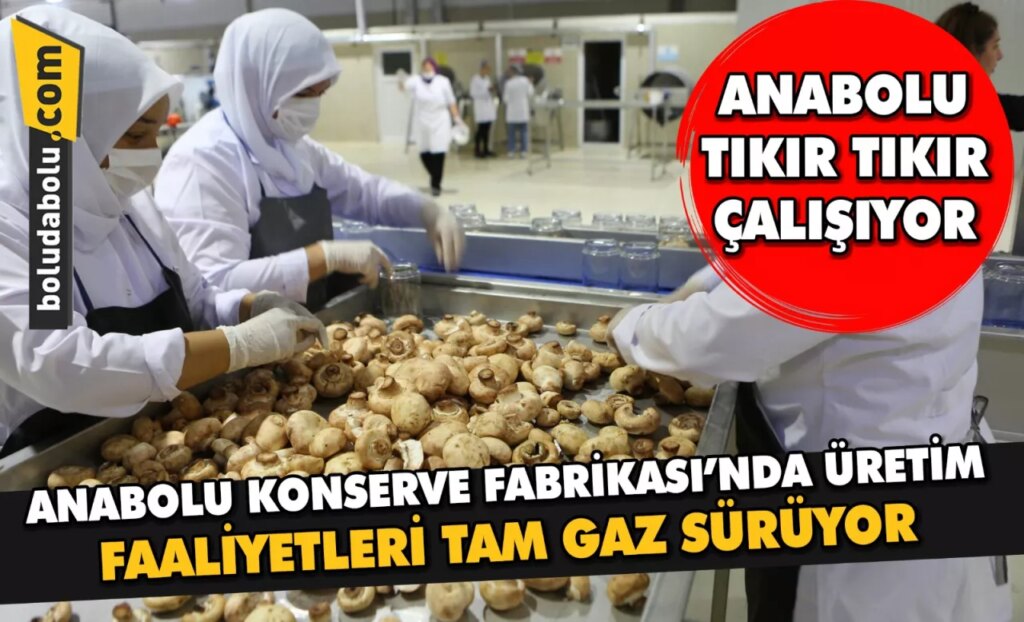 ANABOLU KONSERVE FABRİKASI’NDA ÜRETİM FAALİYETLERİ TAM GAZ SÜRÜYOR ANABOLU KONSERVE FABRİKASI’NDA ÜRETİM FAALİYETLERİ TAM GAZ SÜRÜYOR