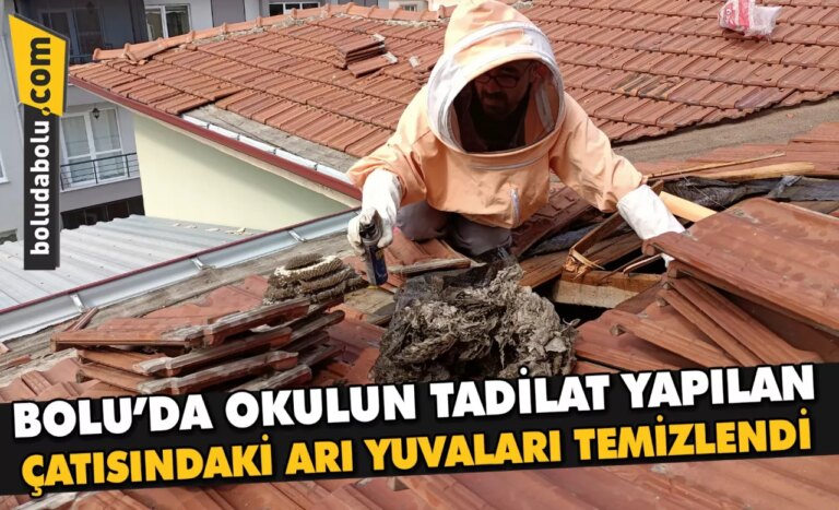 Bolu’da okulun tadilat yapılan çatısındaki arı yuvaları temizlendi