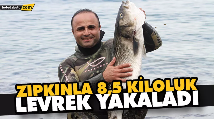 ZIPKINLA 8,5 KİLOLUK LEVREK YAKALADI ZIPKINLA 8,5 KİLOLUK LEVREK YAKALADI