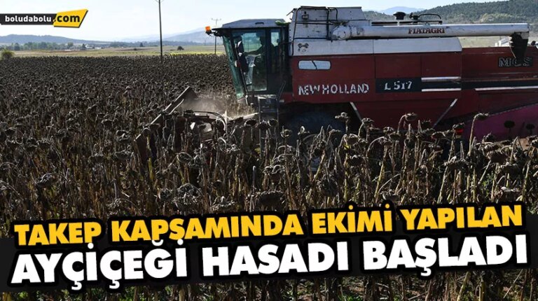 TAKEP KAPSAMINDA EKİMİ YAPILAN AYÇİÇEĞİ HASADI BAŞLADI