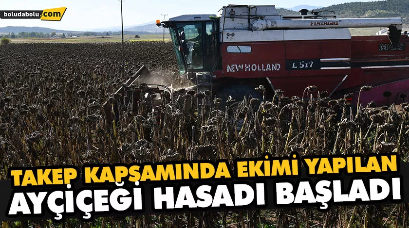 TAKEP KAPSAMINDA EKİMİ YAPILAN AYÇİÇEĞİ HASADI BAŞLADI