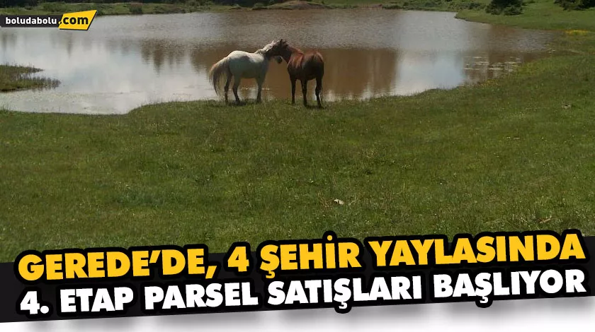 GEREDE’DE, 4 ŞEHİR YAYLASINDA 4. ETAP PARSEL SATIŞLARI BAŞLIYOR GEREDE’DE, 4 ŞEHİR YAYLASINDA 4. ETAP PARSEL SATIŞLARI BAŞLIYOR