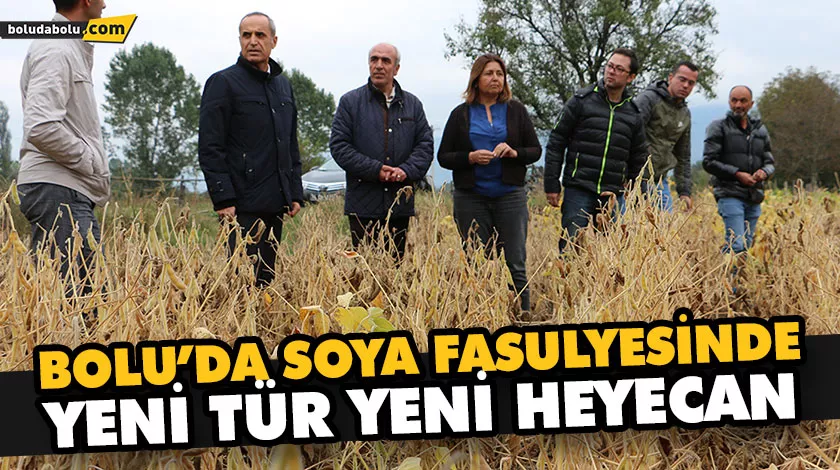 BOLU’DA SOYA FASULYESİNDE YENİ TÜR YENİ HEYECAN BOLU’DA SOYA FASULYESİNDE YENİ TÜR YENİ HEYECAN