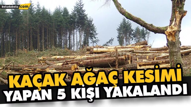 KAÇAK AĞAÇ KESİMİ YAPAN 5 KİŞİ YAKALANDI
