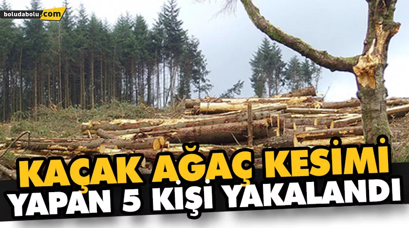 KAÇAK AĞAÇ KESİMİ YAPAN 5 KİŞİ YAKALANDI KAÇAK AĞAÇ KESİMİ YAPAN 5 KİŞİ YAKALANDI