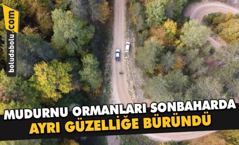 Mudurnu ormanları sonbaharda ayrı güzelliğe büründü