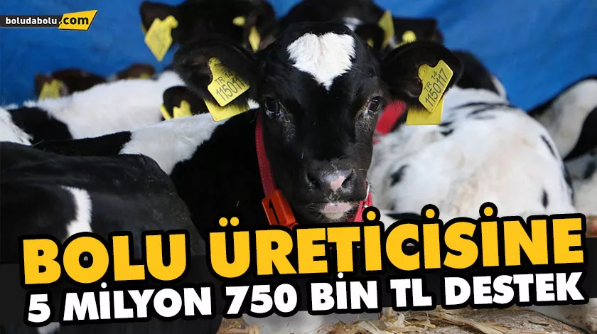 BOLU ÜRETİCİSİNE 5 MİLYON 750 BİN TL DESTEK BOLU ÜRETİCİSİNE 5 MİLYON 750 BİN TL DESTEK