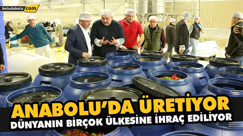 ANABOLU’DA ÜRETİYOR, DÜNYANIN BİRÇOK ÜLKESİNE İHRAÇ EDİLİYOR ANABOLU’DA ÜRETİYOR, DÜNYANIN BİRÇOK ÜLKESİNE İHRAÇ EDİLİYOR